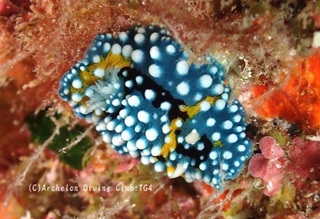 shimohuri240911-s.jpg