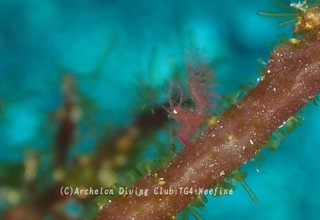 shimura240111-y.jpg