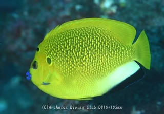 shiten231126-n.jpg