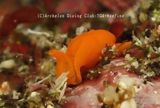 shuiro240312-s.jpg