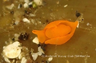 shuiro240513-s.jpg