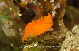 shuiro240616-s.jpg