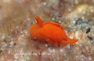 shuiro240822-n.jpg