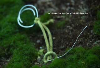 siji210118-ya.jpg