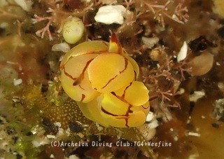 sokodoumiko240616-s.jpg