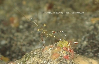 sorihashi230911-nnn.jpg