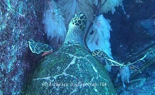 taimai240506-y01.jpg