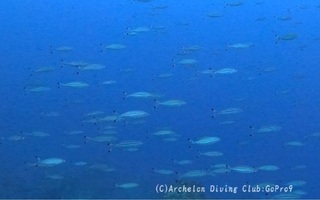 takasago240225-n.jpg