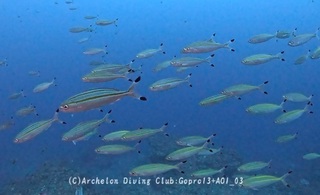 takasago250203-n.jpg