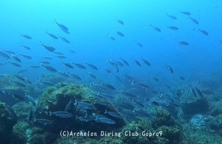 takasago250311-n.jpg