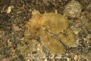 tako230810-k.jpg