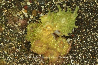 tako240705-y02.jpg