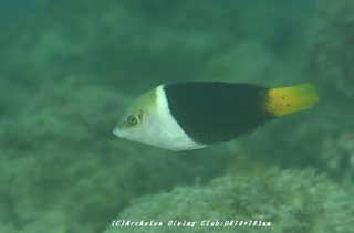 tarekuchi230907-k.jpg