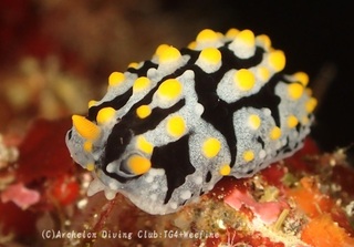 tatehida231122-n.jpg