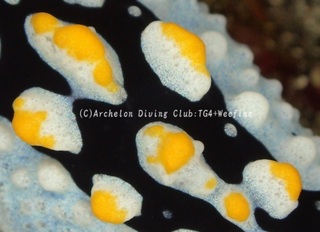 tatehida240414-n.jpg