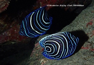 tatekin210102-yyya.jpg