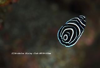 tatekin210114-ya.jpg