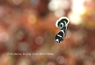 tatekin231012-n.jpg