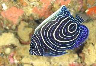 tatekin240412-n.jpg