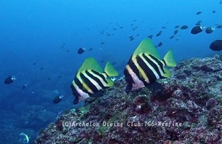 teng240328-n.jpg