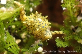tengan240824-n.jpg