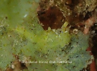 tengan241029-y02.jpg