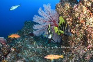 tengdai240522-n02.jpg