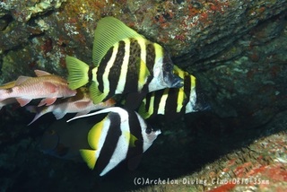 tengdai240524-n.jpg
