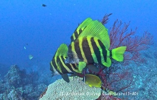 tengdai250120-n.jpg