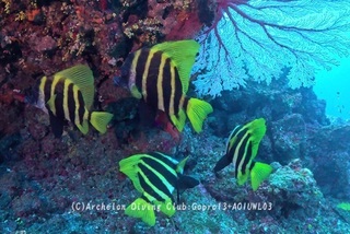 tengdai250121-n.jpg