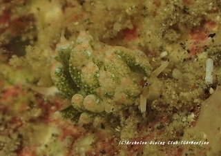 tengmo201231-ka.jpg