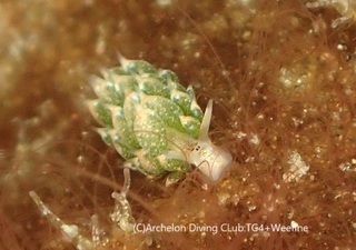 tengmo231107-k.jpg