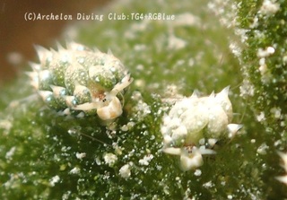 tengmo240901-k.jpg