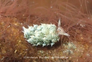 tengmo241101-k.jpg