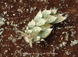 tengmo241110-k.jpg