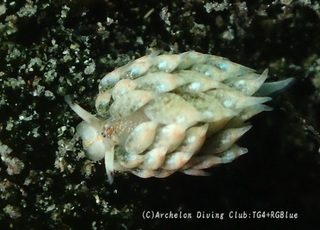 tengmo250414-k.jpg