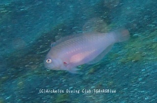 tensmodoki241222-aa.jpg