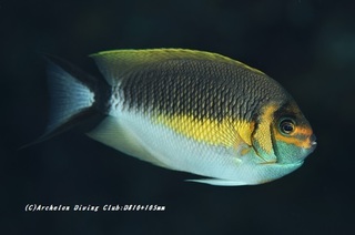 tosa210105-na.jpg