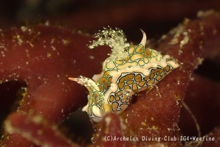 toumon231208-y.jpg