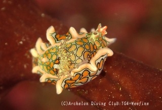 toumon240127-y.jpg