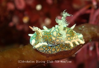 toumon240410-y.jpg