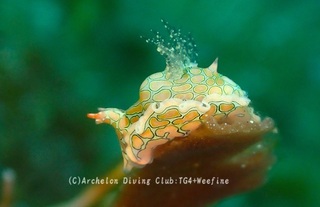 toumon240607-n.jpg