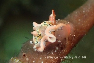 toumon240807-n.jpg