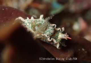 toumon240824-n.jpg