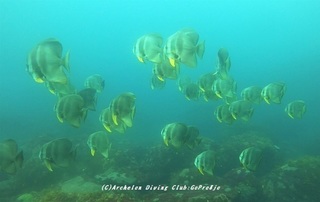 tsubame210331-na-ss.jpg