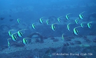 tsunodashi240302-y02.jpg
