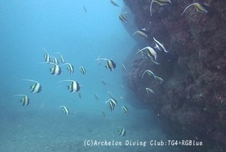tsunodashi241002-k.jpg