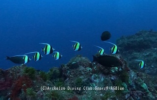 tsunodashi241114-n.jpg