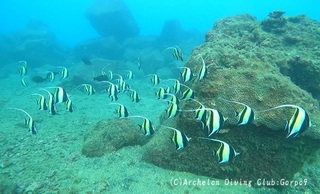 tsunodashi241121-k01.jpg