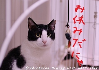 ume170916-04.jpg